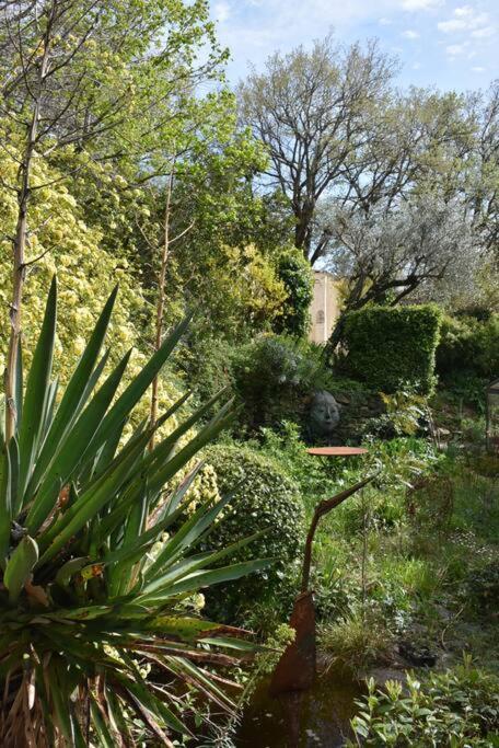La Petite Maison Des Artistes Séguret 外观 照片